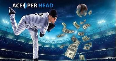 "Willbet Sports Betting - Your Premier Destination for Sports Wagering"