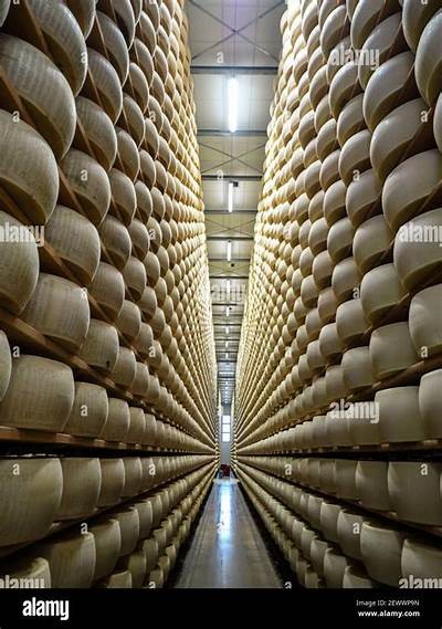 Exploring the Journey of Cheese Production: From Dairy Farms to Your Plate