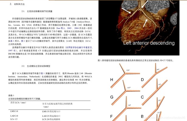 英文文件翻译为中文