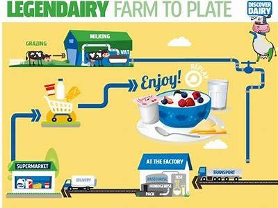 Exploring the Journey of Cheese Production: From Dairy Farms to Your Plate