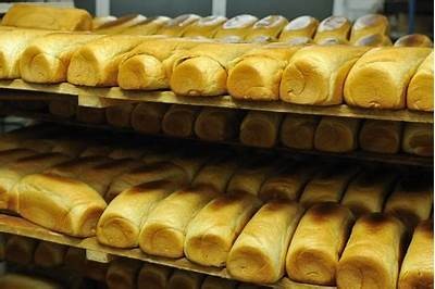 Exploring the Journey of Cheese Production: From Dairy Farms to Your Plate