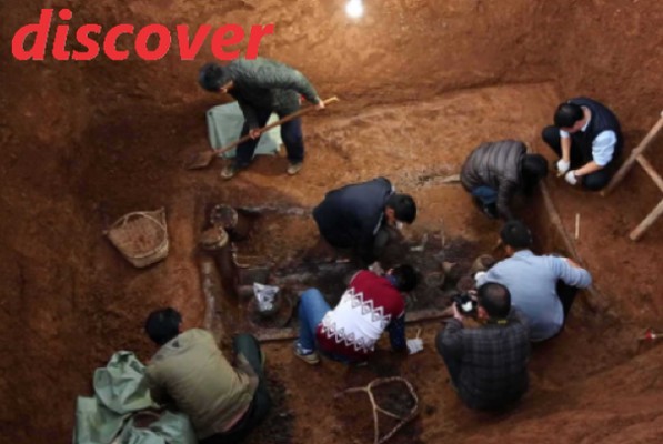 discover强调什么
