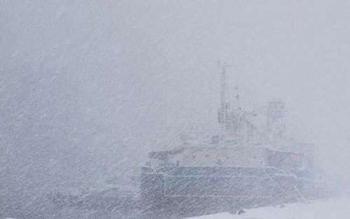 关于snowstorm的英语作文