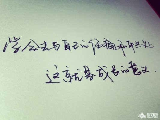 我们收获阴影weharvestshadows