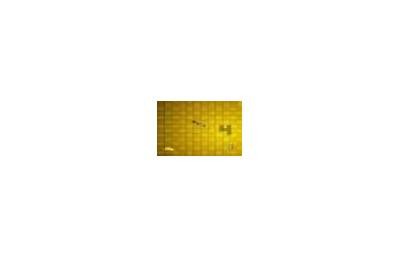 Play Free Cheese Games Online - Fun and Addictive Cheese Games for Everyone