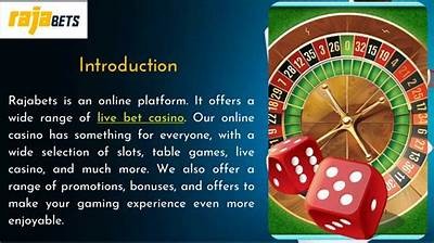 Explore the Features and Benefits of the WillBet Casino App for an Exciting Gaming Experience