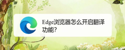 edge翻译功能在哪开启