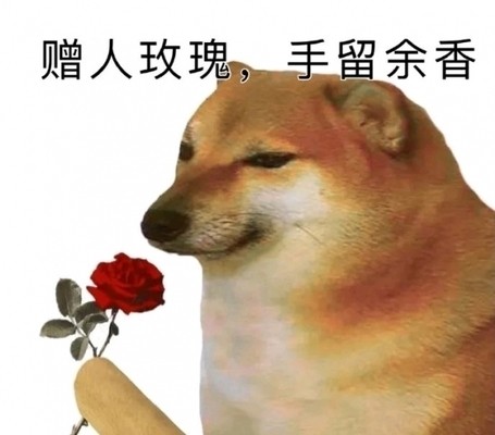 cheese狗图片