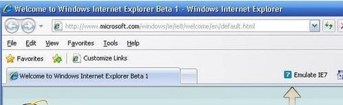 浏览器翻译成为英文