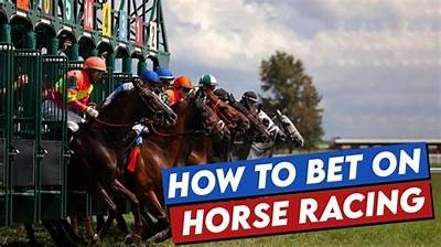 A Comprehensive Guide to Online Betting in Qatar: How to Bet Safely and Legally